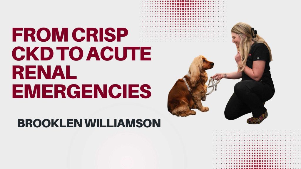 From crisp CKD to acute renal emergencies
