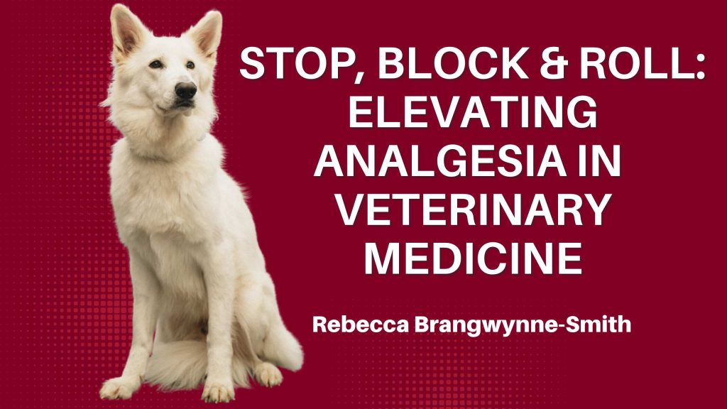 Stop, block & roll: elevating analgesia in veterinary medicine
